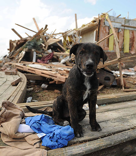 24 hours in pictures: Tornado tears through Mississippi killing 10 people