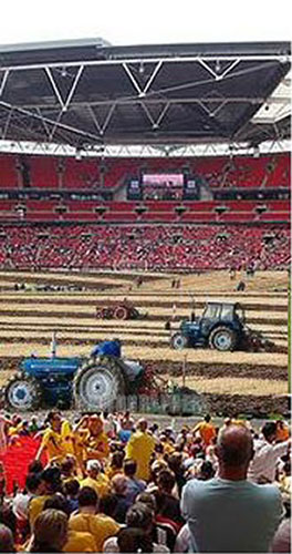 Wembley's turf trouble: The Gallery: Wembley's turf trouble 9