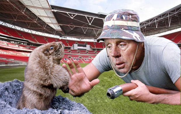 Wembley's turf trouble: The Gallery: Wembley's turf trouble 10