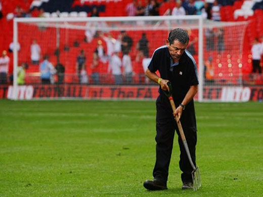 Wembley's turf trouble: The Gallery: Wembley's turf trouble 13
