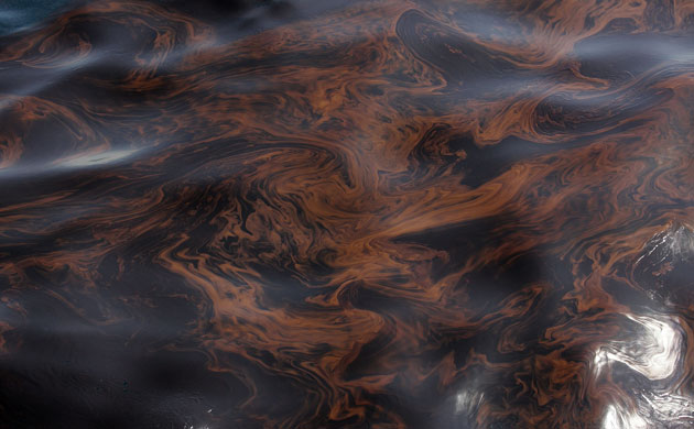 Oil spill: Deepwater Horizon oil rig spill in Gulf of Mexico