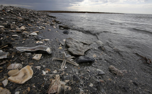 Oil spill: Deepwater Horizon oil rig spill in Gulf of Mexico