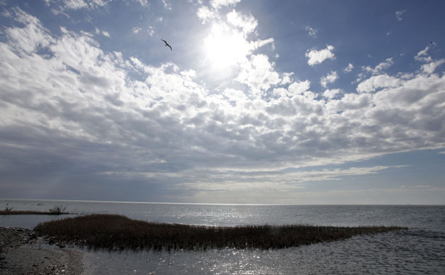 Oil spill: Deepwater Horizon oil rig spill in Gulf of Mexico