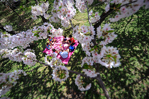 24 Hours in Pictures: TOPSHOTS