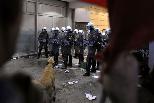 Greece protests: A dog barks at riot police blocking the entrance of the finance ministry