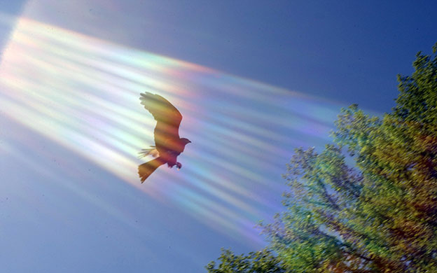 24 hours in pictures: Animal Behavior Management Alliance conference in USA