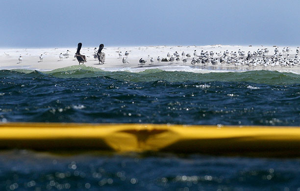 24 hours in pictures: boom line set up to catch oil spill from Deepwater Horizon in Mississippi