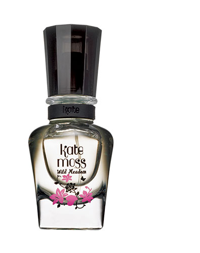 Lauren Luke's florals: Lauren Luke: Florals