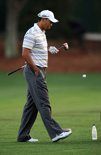 Tiger Woods: Toger Woods