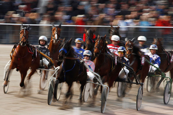 24sport: Jockeys and horses compete in a Harness race 