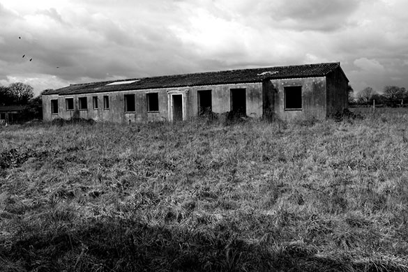 Simon Bray's portfolio: A review of Simon Bray's portfolio