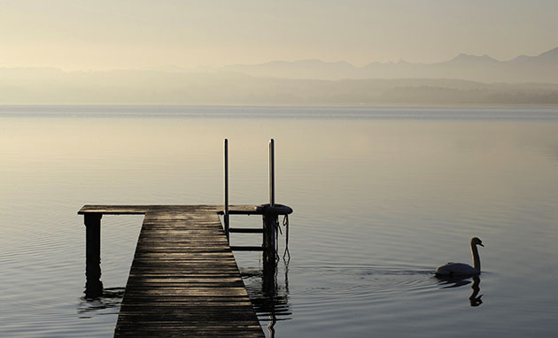 24 hours in pictures: Seeshaupt, Germany: A swan swims on the Starnberger See at sunrise 