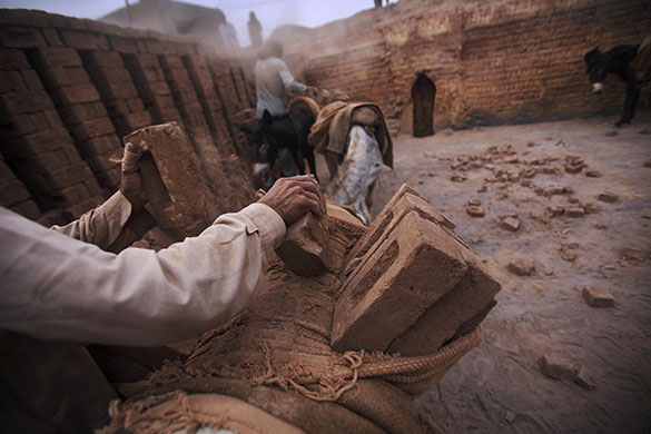 24hours: Pakistani workers load the bricks onto the back of donkeys