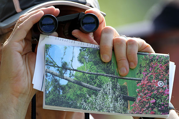 Golf: The Masters - Round One