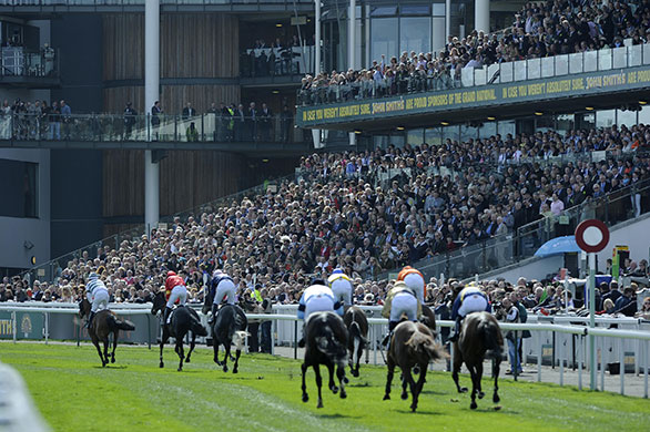 Grand National day one: The runners finish the 2nd race infront of a packed grandstand
