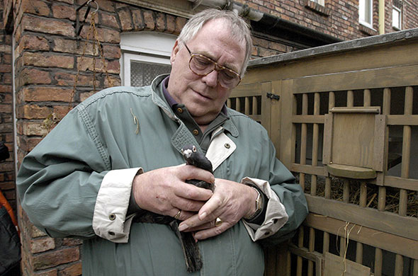 Jack Duckworth: 2005: Jack Duckworth's (William Tarmey) with his pigeon