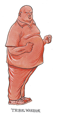 Voting Tribe: Guide to Electortoral Tribes 2010