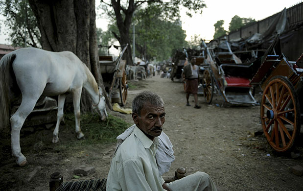 24 hours in pictures: New Delhi, India: A 
