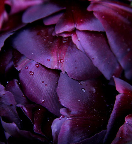 Camera Club: Sabine Thole participates in the graphic shapes monthly assignment