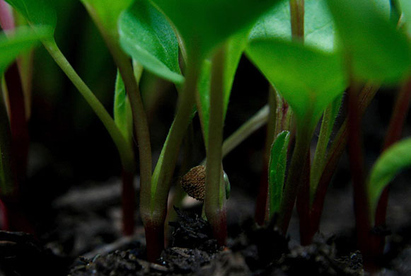 Camera Club: Sabine Thole participates in the graphic shapes monthly assignment