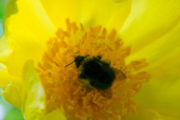 Camera Club: Sabine Thole participates in the graphic shapes monthly assignment