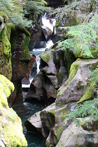 week in wildlife: Water flows past Avalanche Gorge in Glacier National Park in Montana