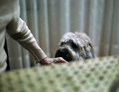 Days with my father: George the dog