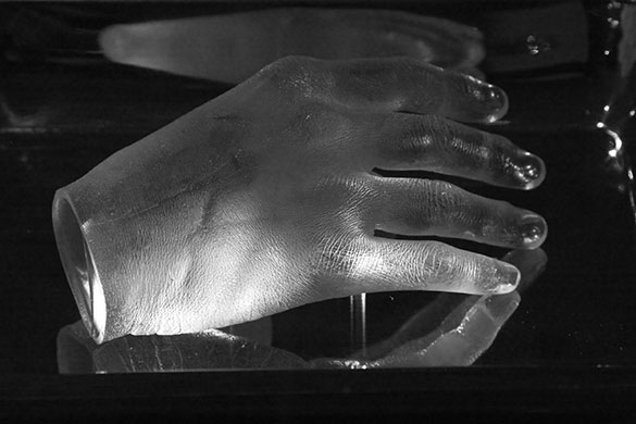 Catlin art prize 2010: BodyCash by Miyo Yoshida