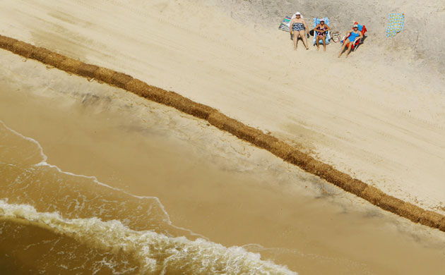 Deepwater Horizon: Gulf Oil Spill Begins To Reach Land  : on Dauphin Island, Alabama