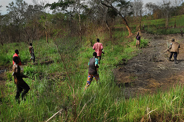 Obo Dispatch: Self-defence militiamen surrounding a suspect in the bush in Obo