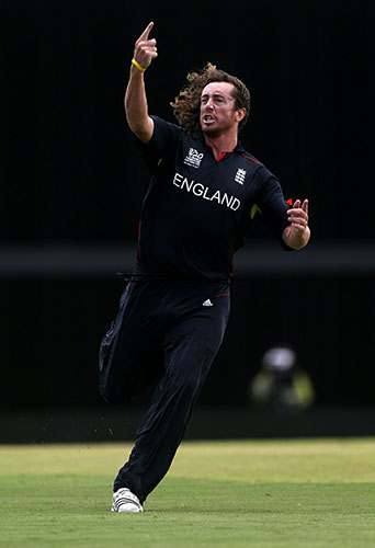 world twenty20 final: Ryan Sidebottom of England celebrates the wicket of Shane Watson