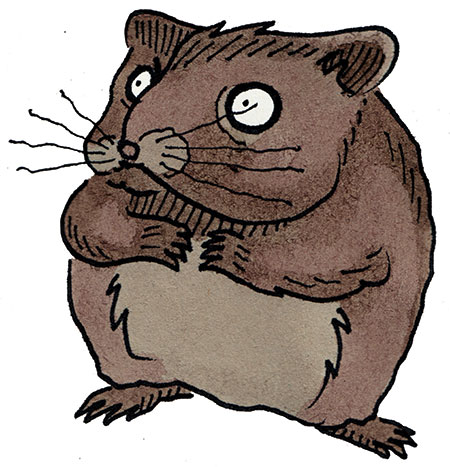 Know your rodent: Know Your Rodent