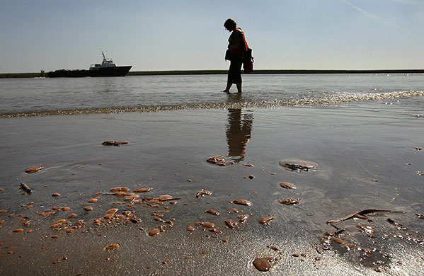 24 hours in pictures: gulf coast  oil spill 