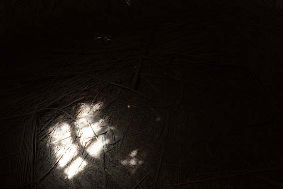 Niger Children: Nana's empty millet store. Their crops failed this year