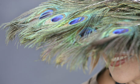 Epsom fashion: A hat made of peacock feathers
