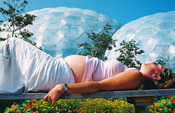 In pictures: curves: Eden Project’s biomes