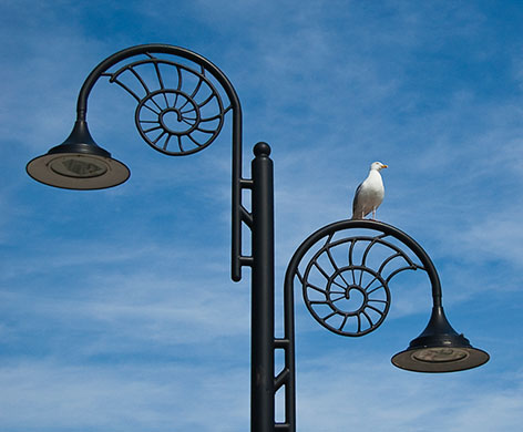 In pictures: curves: Lyme Regis