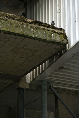 Camera Club: Robert Proctor participates in the graphic shapes monthly assignment