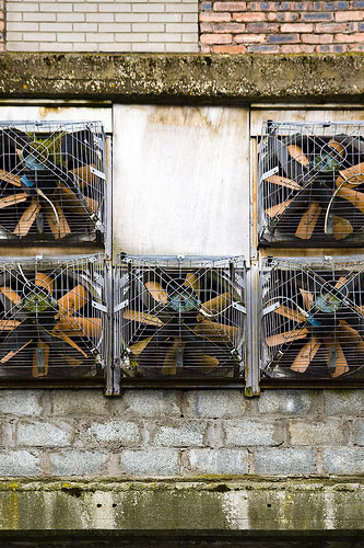 Camera Club: Robert Proctor participates in the graphic shapes monthly assignment