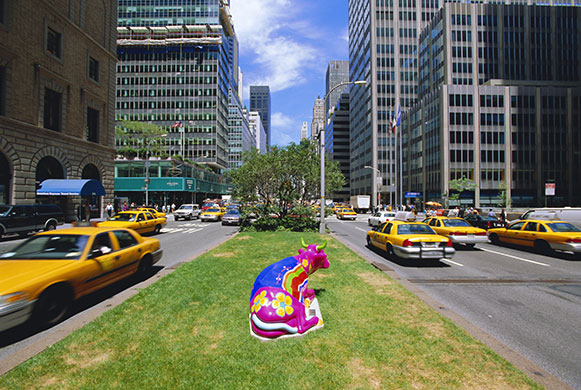 Global animal sculptures: A cow in Manhattan