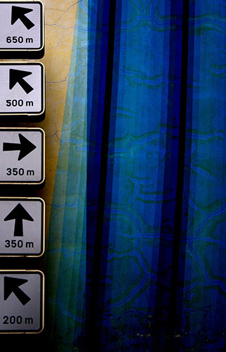 Camera Club: Small Northern Bird participates in the graphic shapes monthly assignment