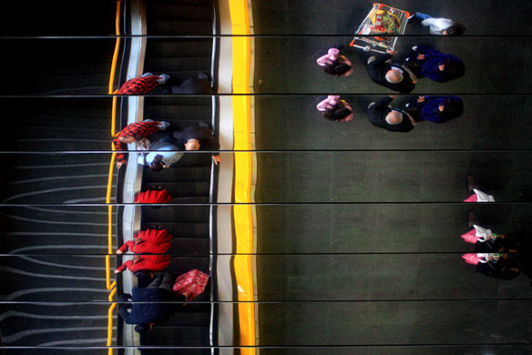 Camera Club: Small Northern Bird participates in the graphic shapes monthly assignment