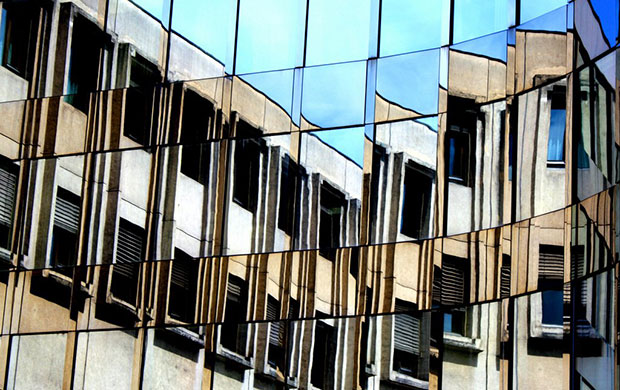 Camera Club: Small Northern Bird participates in the graphic shapes monthly assignment