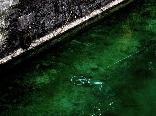 Camera Club: Small Northern Bird participates in the graphic shapes monthly assignment