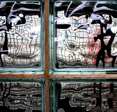 Camera Club: Small Northern Bird participates in the graphic shapes monthly assignment