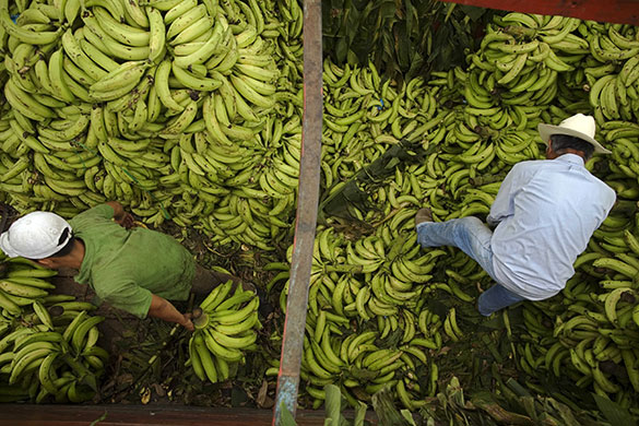 24 hours in pictures: Guatemala City, Guatemala: People work delivering bananas