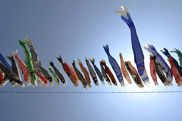 24 hours in pictures: Sagamihara, Tokyo: Carp streamers flutter in the sky