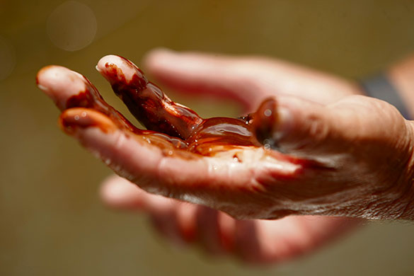 24 hours in pictures: Boat captain shows the oil on his hands while collecting surface samples