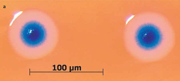 Science: Scientists create first 'synthetic' cell
