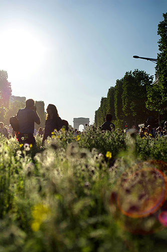 Champs-Elysees greenery: People walk in Gad Weil's work of art covering the Champs-Elysees avenue 